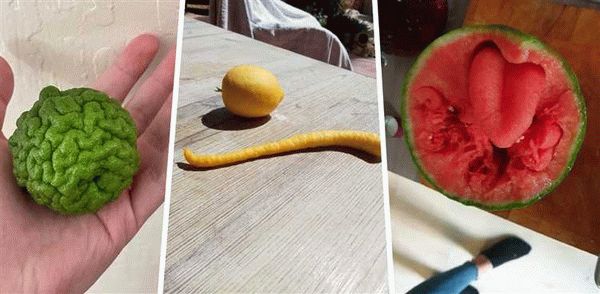 Очистка фрукта с помощью слайсера