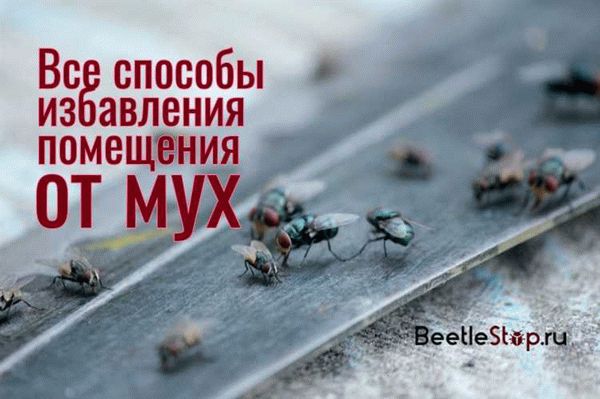 Механические способы уничтожения насекомого: