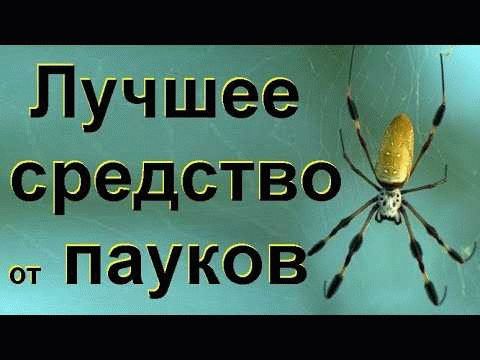 Используйте химические средства контроля