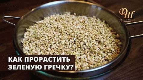 Энергетическая и пищевая ценность пророщенной зелёной гречки