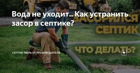 Об этой статье