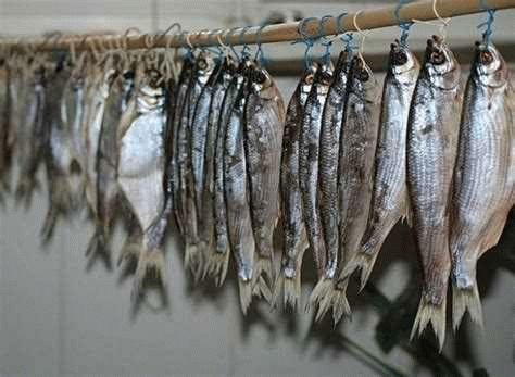 Как лучше сохранить вяленую рыбу, чтобы не пересохла?