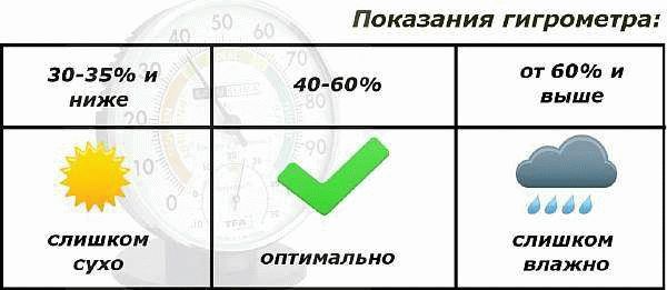 Почему важно контролировать уровень влажности в квартире?