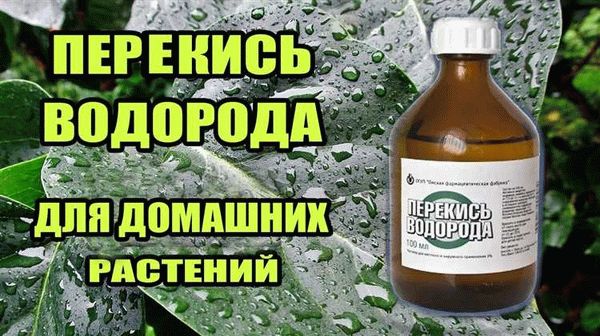 Инструкция по разведению перекиси водорода для растений: правильная дозировка препарата