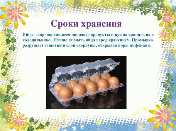 Срок годности вареных яиц в скорлупе и очищенных