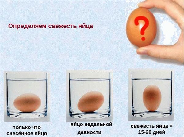 Сколько можно хранить вареные яйца в холодильнике