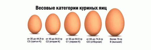 Как долго хранить вареные яйца и блюда из яиц?