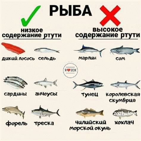 Сколько хранят разные виды рыбы?